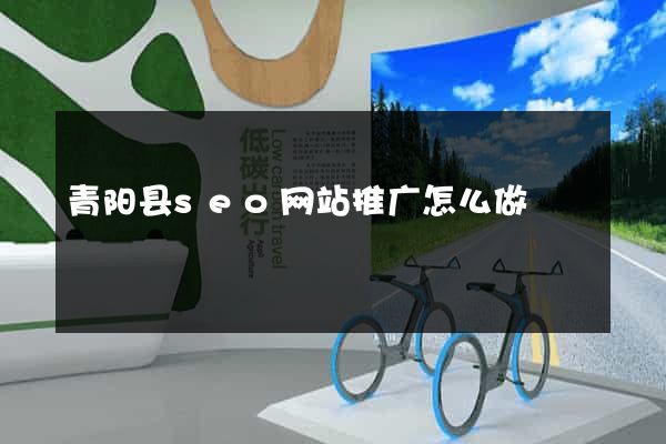 青阳县seo网站推广怎么做