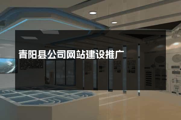 青阳县公司网站建设推广