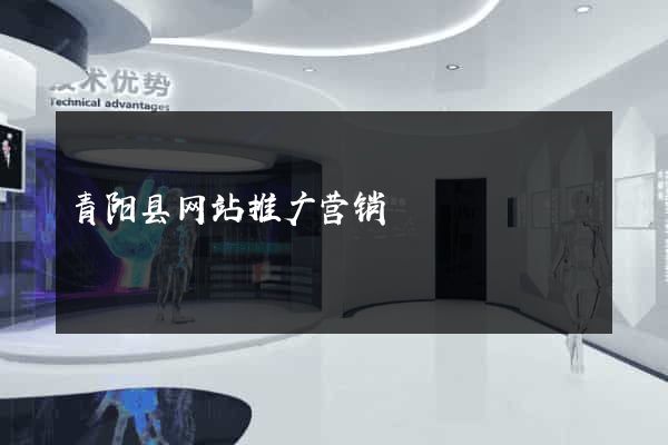 青阳县网站推广营销