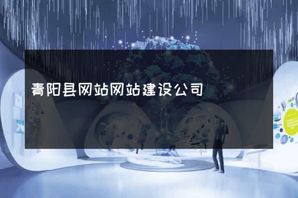 青阳县网站网站建设公司