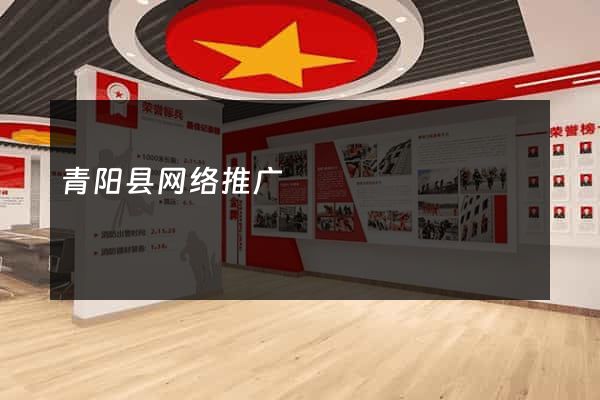 青阳县网络推广