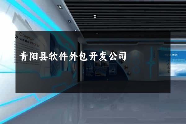 青阳县软件外包开发公司