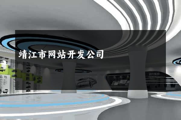 靖江市网站开发公司