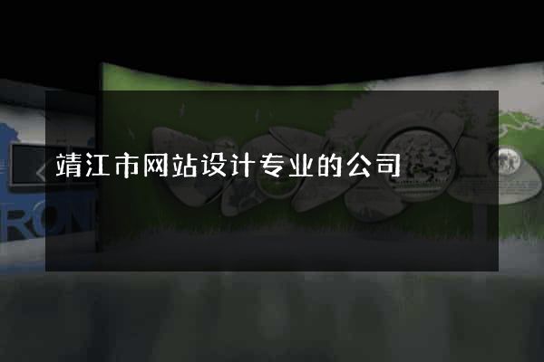 靖江市网站设计专业的公司