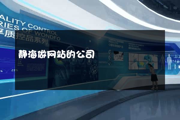 静海做网站的公司