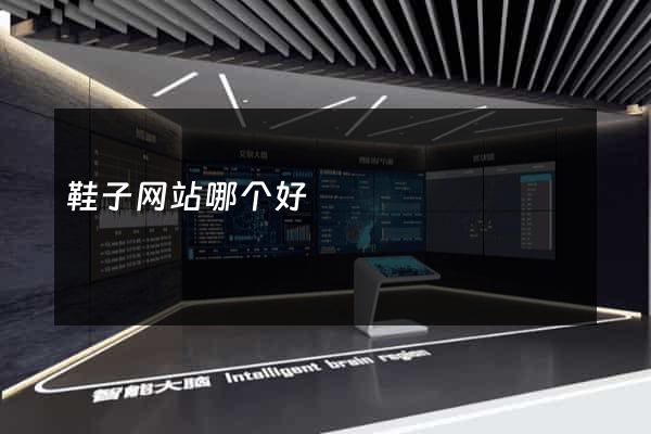 鞋子网站哪个好