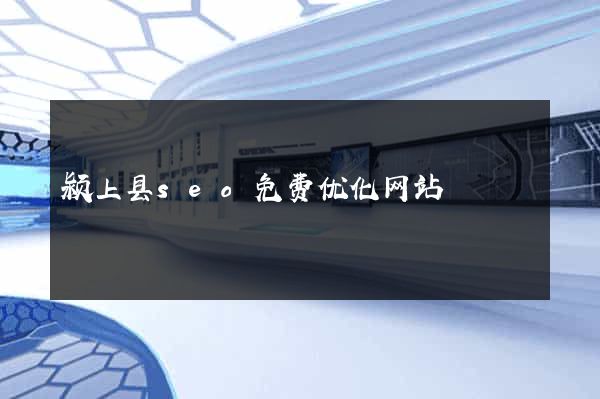 颍上县seo免费优化网站