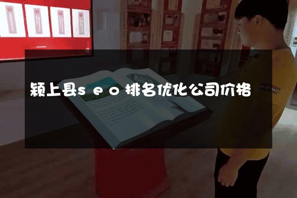 颍上县seo排名优化公司价格