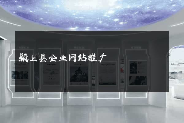 颍上县企业网站推广