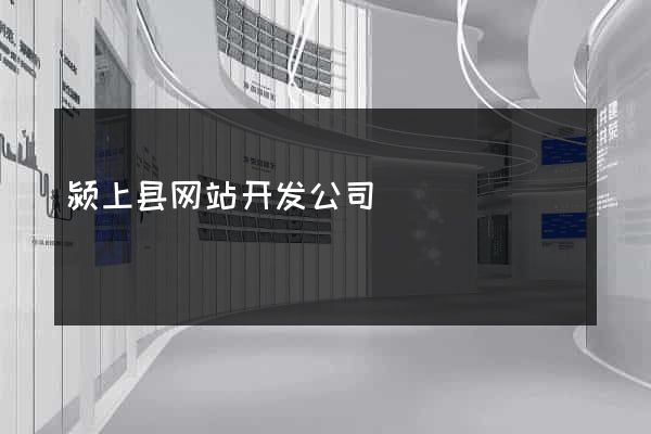颍上县网站开发公司