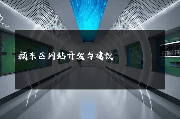 颍东区网站开发与建设