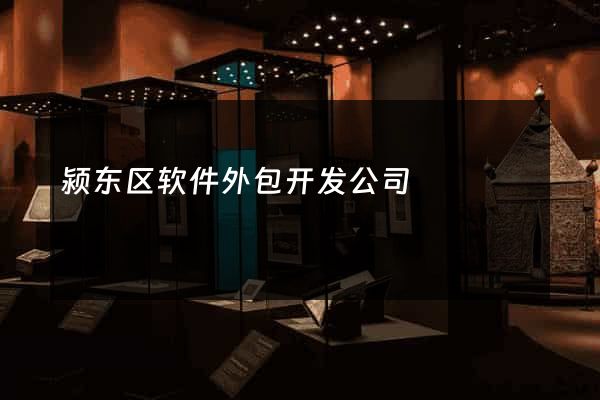 颍东区软件外包开发公司