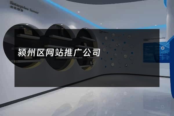 颍州区网站推广公司