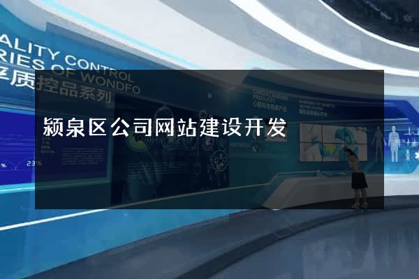 颍泉区公司网站建设开发