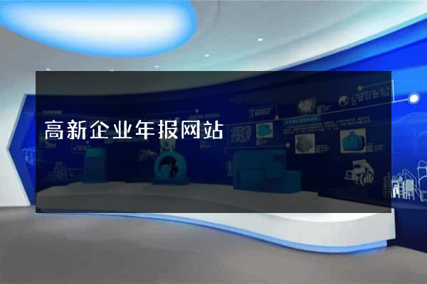 高新企业年报网站