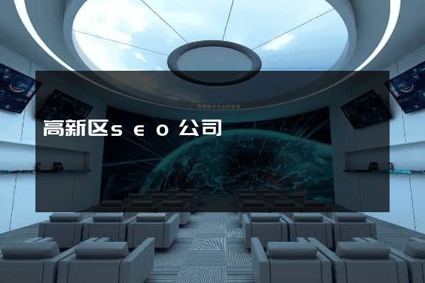 高新区seo公司