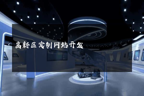 高新区定制网站开发