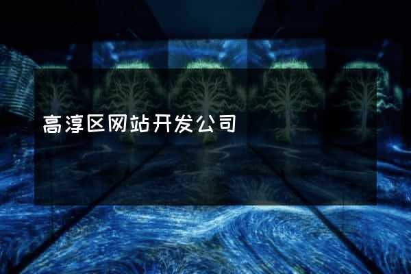 高淳区网站开发公司