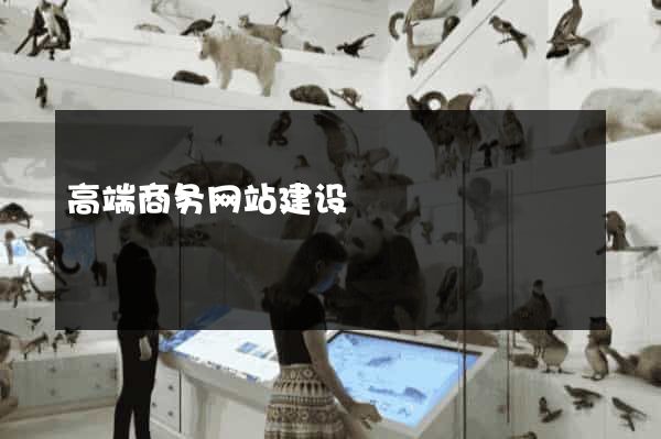 高端商务网站建设