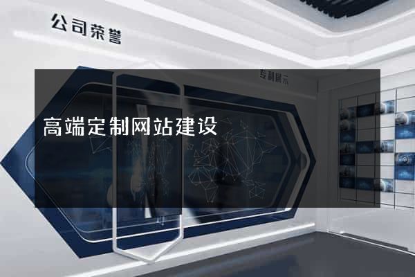 高端定制网站建设