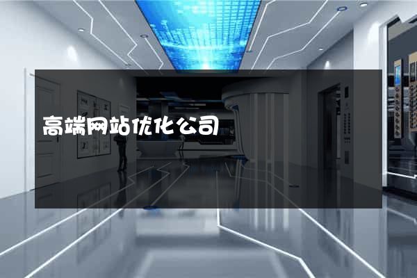 高端网站优化公司