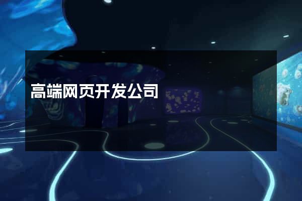 高端网页开发公司