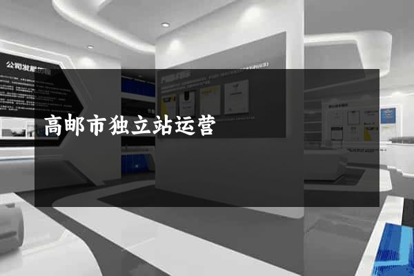 高邮市独立站运营