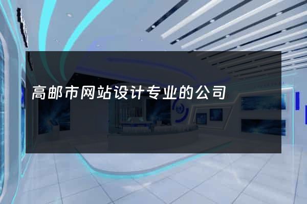 高邮市网站设计专业的公司