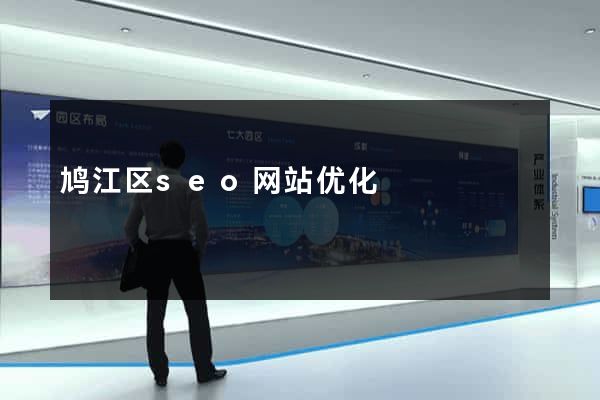 鸠江区seo网站优化