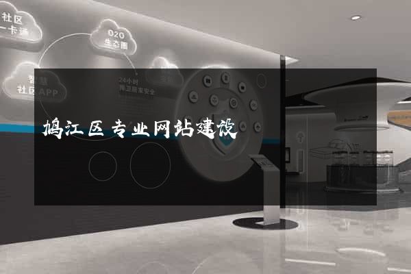 鸠江区专业网站建设