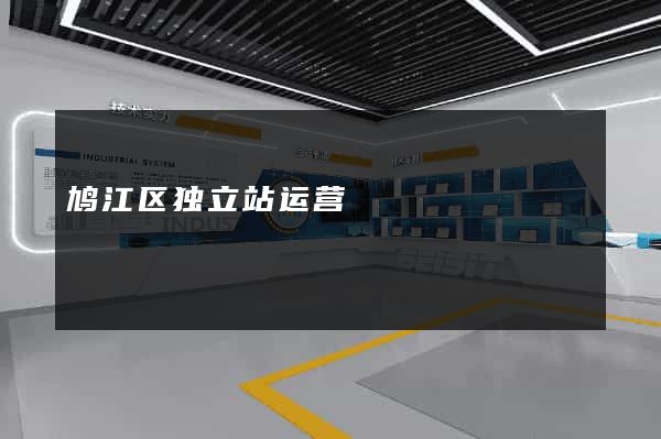 鸠江区独立站运营