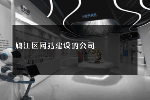 鸠江区网站建设的公司