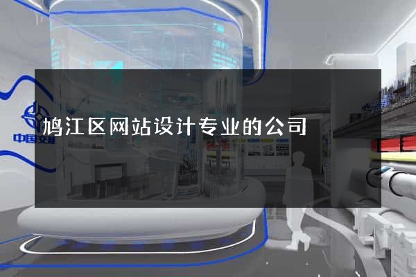 鸠江区网站设计专业的公司