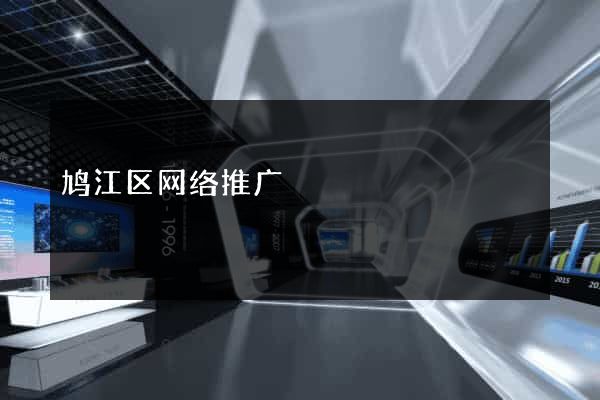 鸠江区网络推广