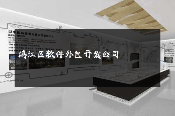 鸠江区软件外包开发公司