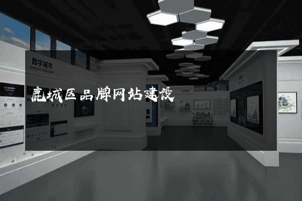 鹿城区品牌网站建设
