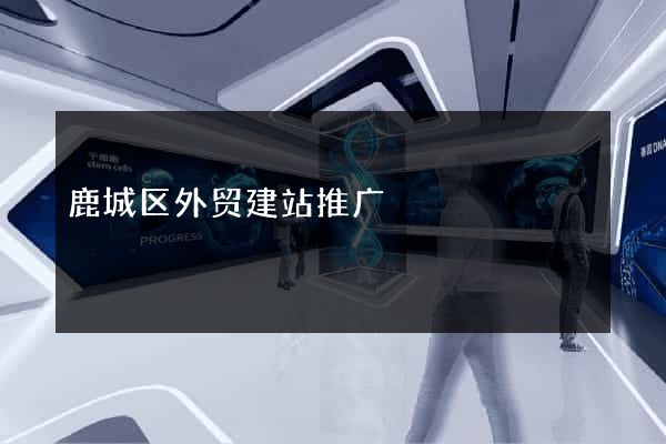 鹿城区外贸建站推广
