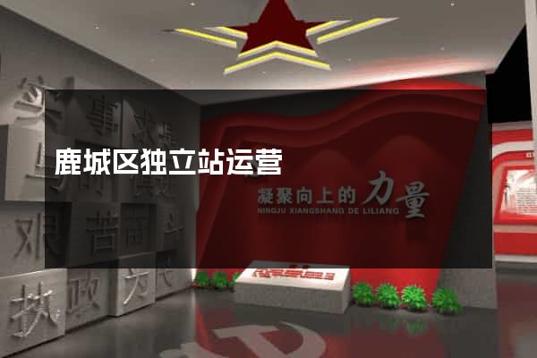 鹿城区独立站运营