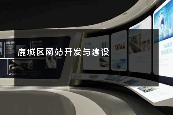 鹿城区网站开发与建设