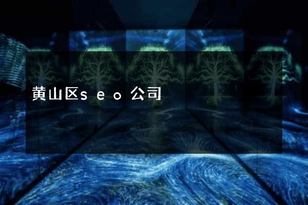 黄山区seo公司