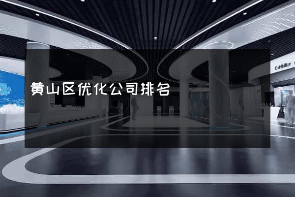 黄山区优化公司排名