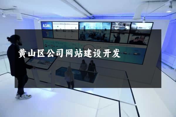 黄山区公司网站建设开发