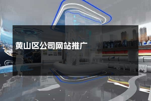黄山区公司网站推广