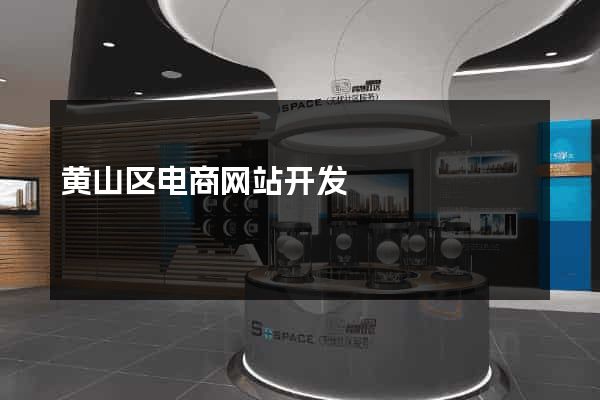 黄山区电商网站开发