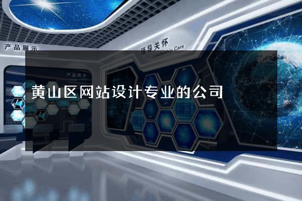 黄山区网站设计专业的公司