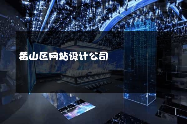 黄山区网站设计公司