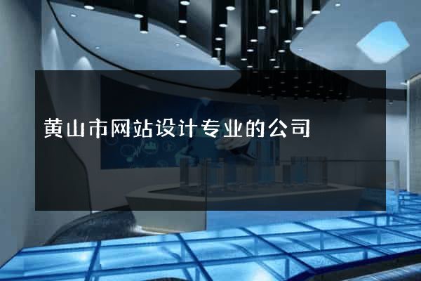 黄山市网站设计专业的公司