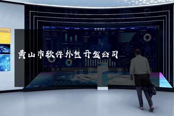 黄山市软件外包开发公司