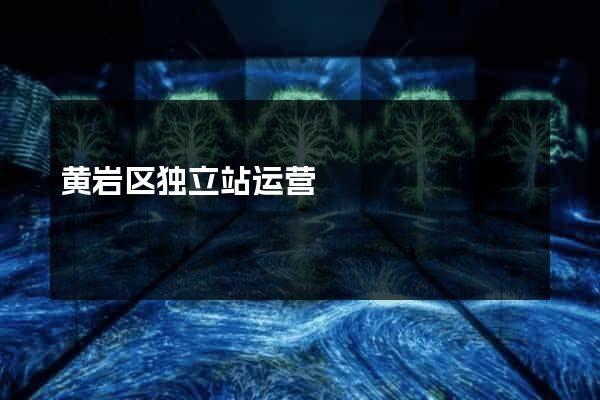 黄岩区独立站运营