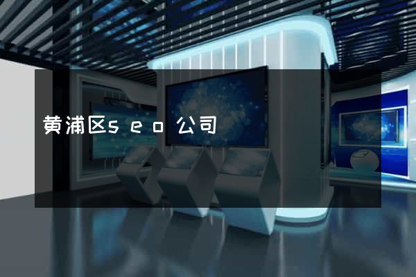黄浦区seo公司